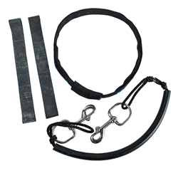 Halcyon Stage Rigging Kit For 40 Cf Cylinder